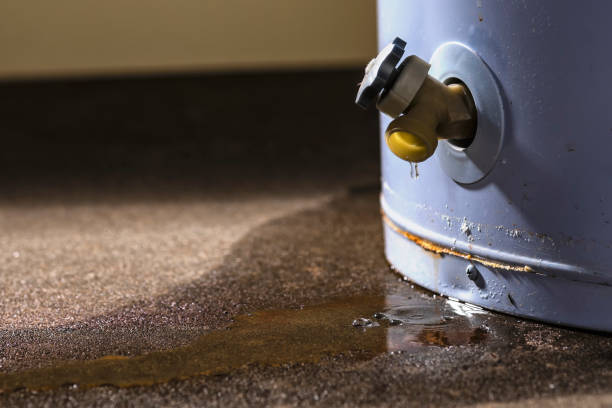 Trusted Dandridge, TN Water damage restoration Experts