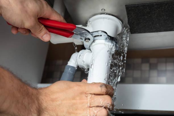 Best Flood damage cleanup  in Dandridge, TN