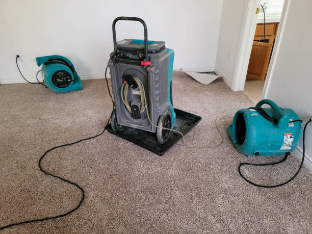 Best Residential water damage restoration  in Dandridge, TN