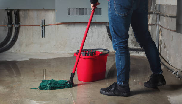Best Emergency water extraction  in Dandridge, TN