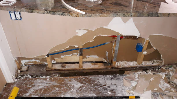 Best Sewage cleanup and water damage restoration  in Dandridge, TN