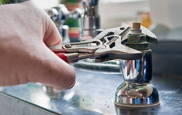 Best Fire Damage Restoration  in Dandridge, TN