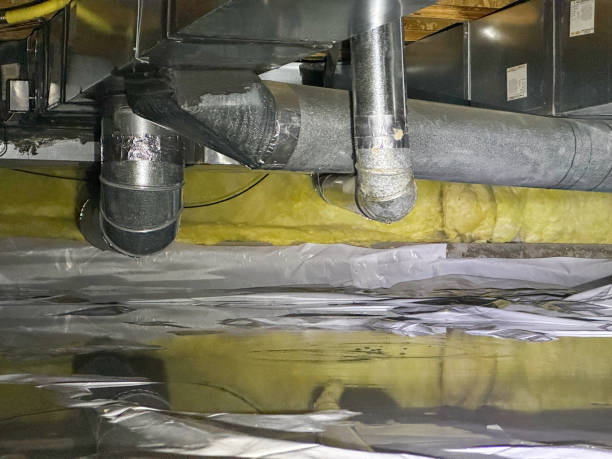 Best Flood damage cleanup  in Dandridge, TN