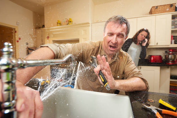 Best Basement water damage restoration  in Dandridge, TN